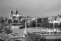 Paris black and white photos - Institut du Monde Arabe - View onto Ile de la Cité